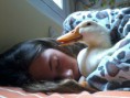 /album/fotogaleria-patito/a2012-03-20-16-22-15-jpg/